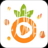 菠萝视频App:探索无限精彩的视频世界 菠萝视频App:探索无限精彩的视频世界