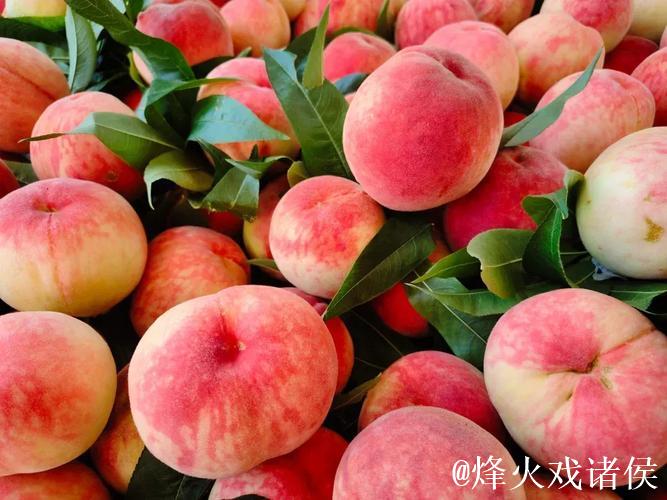 久久99国产精品久久99蜜桃 久久99国产精品久久99蜜桃