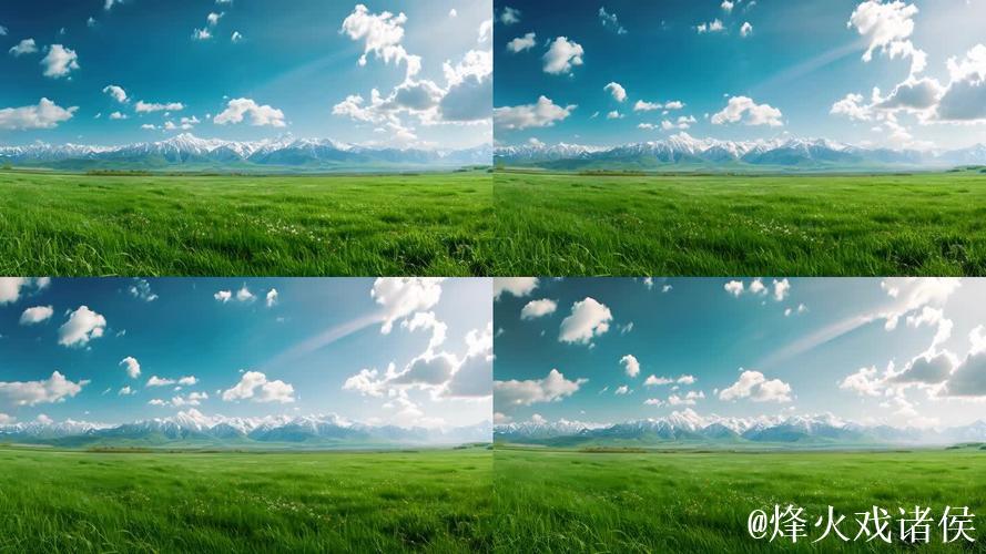 免费在线观看青青草原高清视频 免费在线观看青青草原高清视频