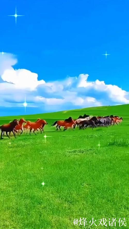 免费在线观看青青草原高清视频 免费在线观看青青草原高清视频