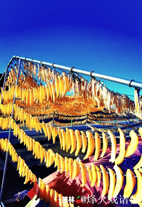 51吃瓜趣闻大合集